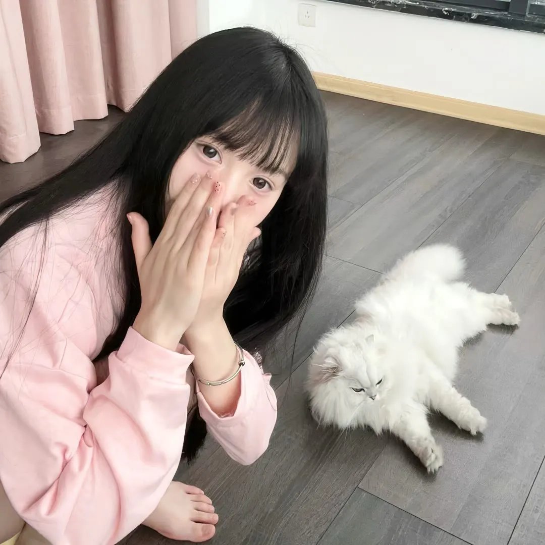 阿基里斯与龟