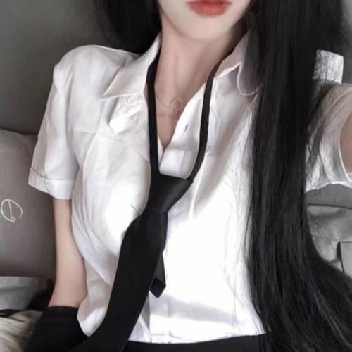 侠盗正传