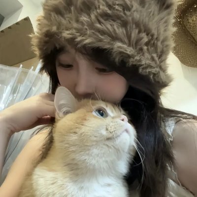 美国佬与他的后宫